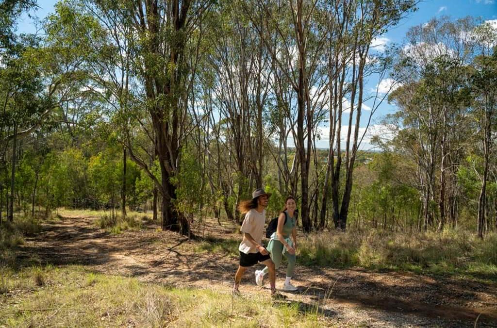 Two people stroll along a dirt path in the woods, surrounded by tall trees.
