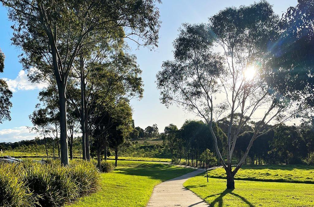 A serene park pathway lined with trees and lush green grass.