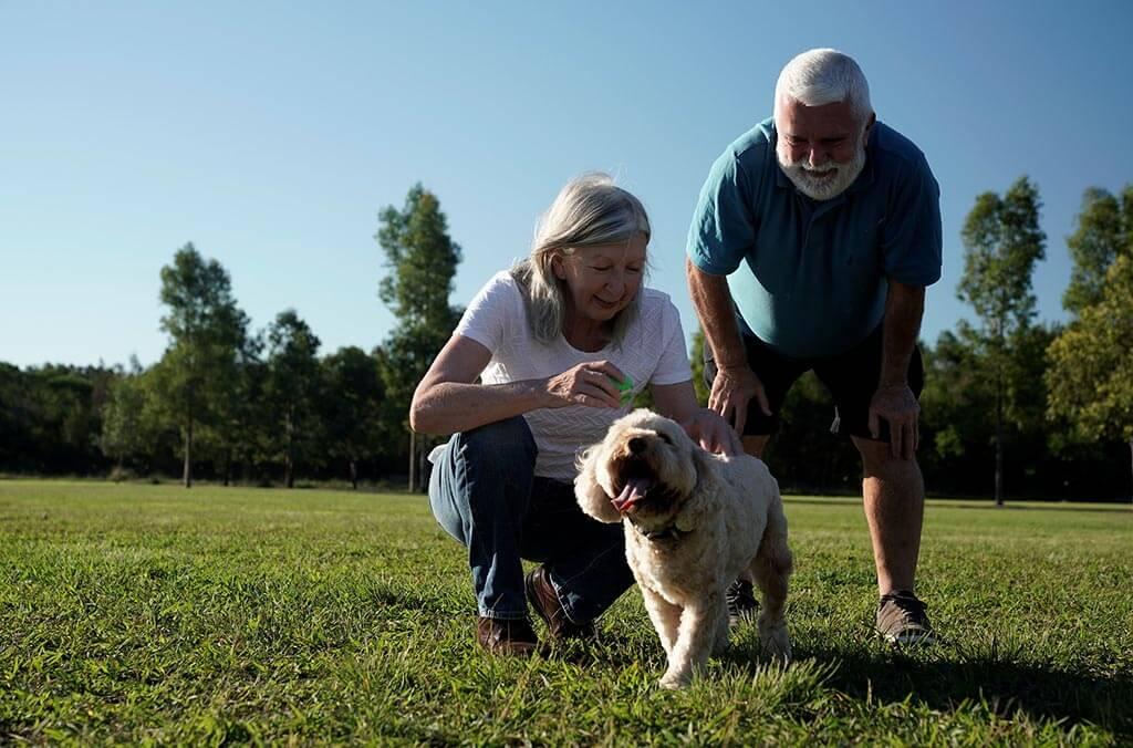 A man and woman are petting a happy dog together.