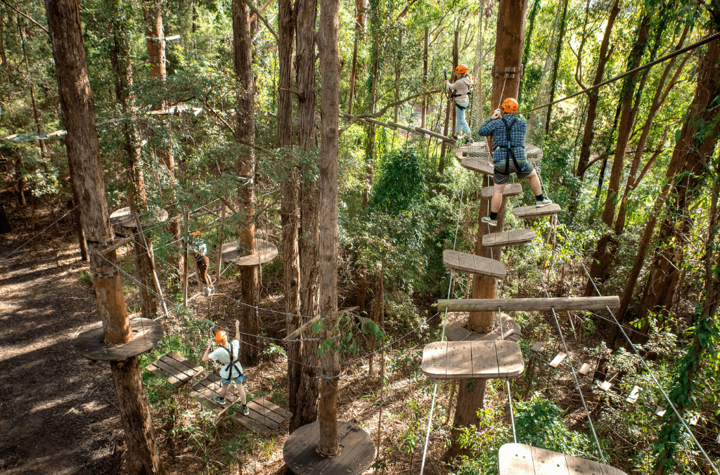 People completing a course at Treetops Adventure Western Sydney.
