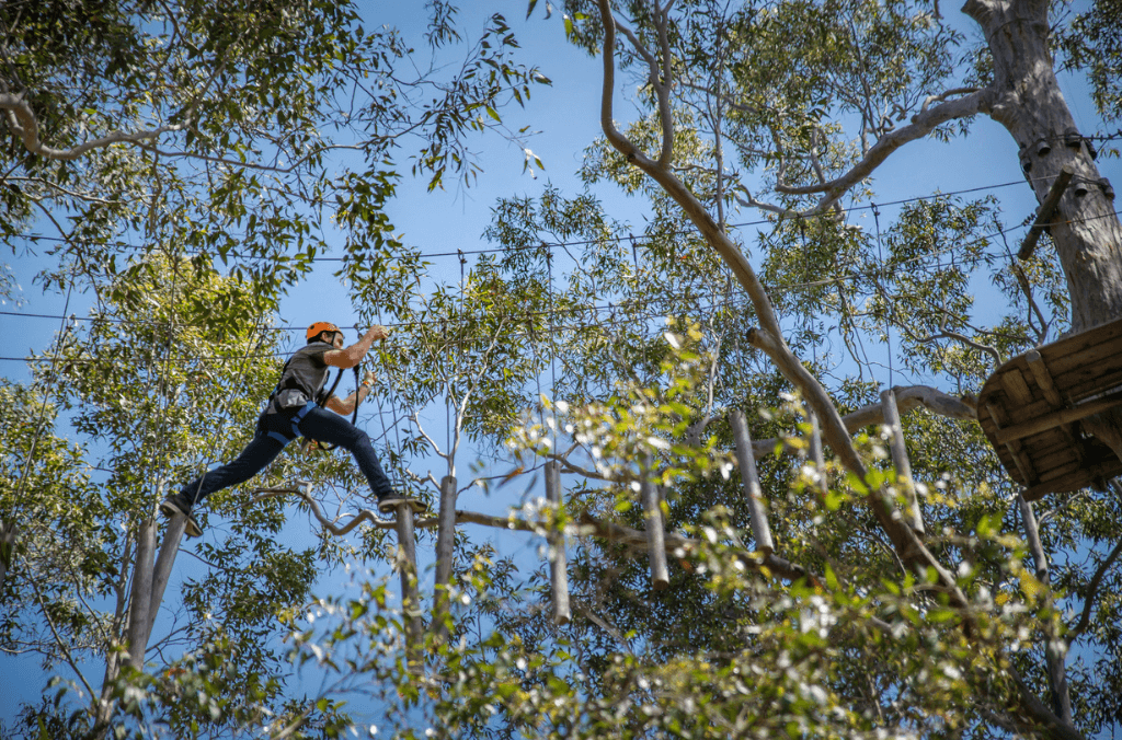 Man completing a course at Treetops Adventure Western Sydney.