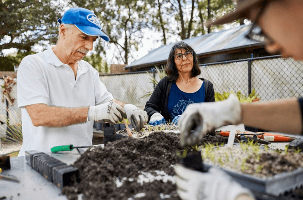 Volunteering with Greater Sydney Parklands